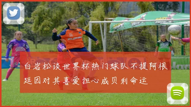 白岩松谈世界杯热门球队不提阿根廷因对其喜爱担心成贝利命运