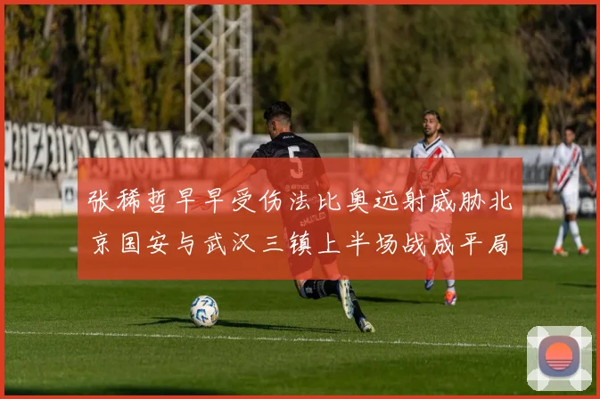 张稀哲早早受伤法比奥远射威胁北京国安与武汉三镇上半场战成平局